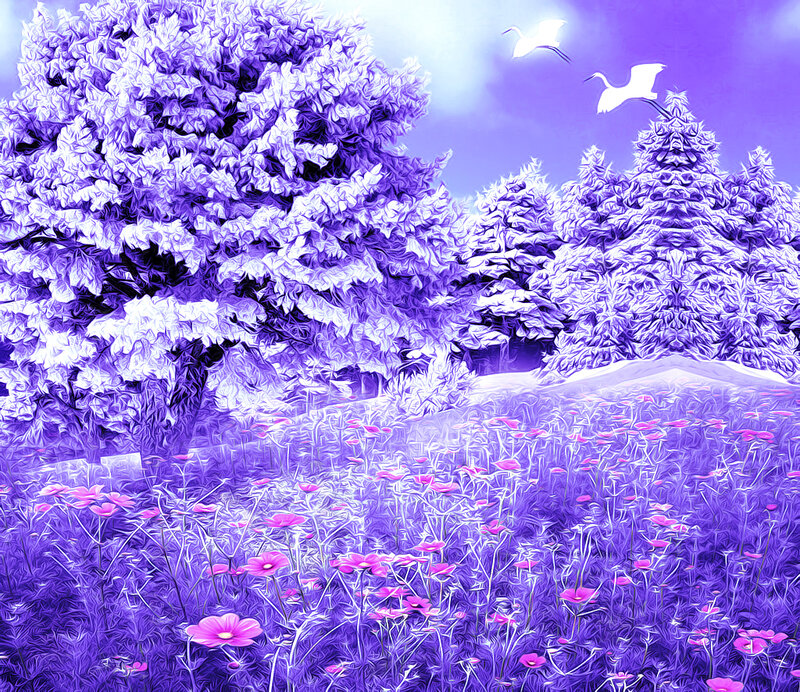 Purple Field with Flowers