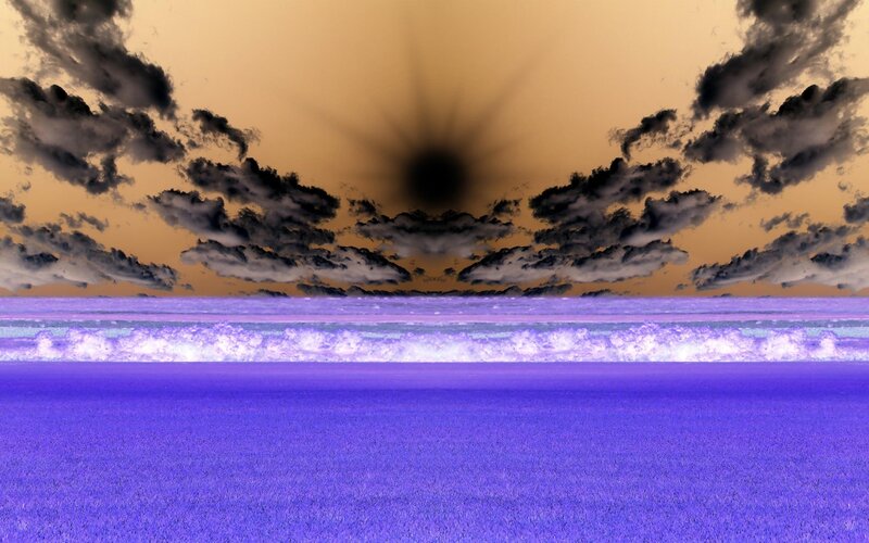 Purple Field with Purple Waves