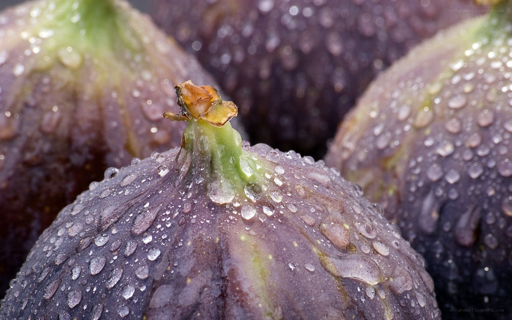 Purple figs with water droplets
