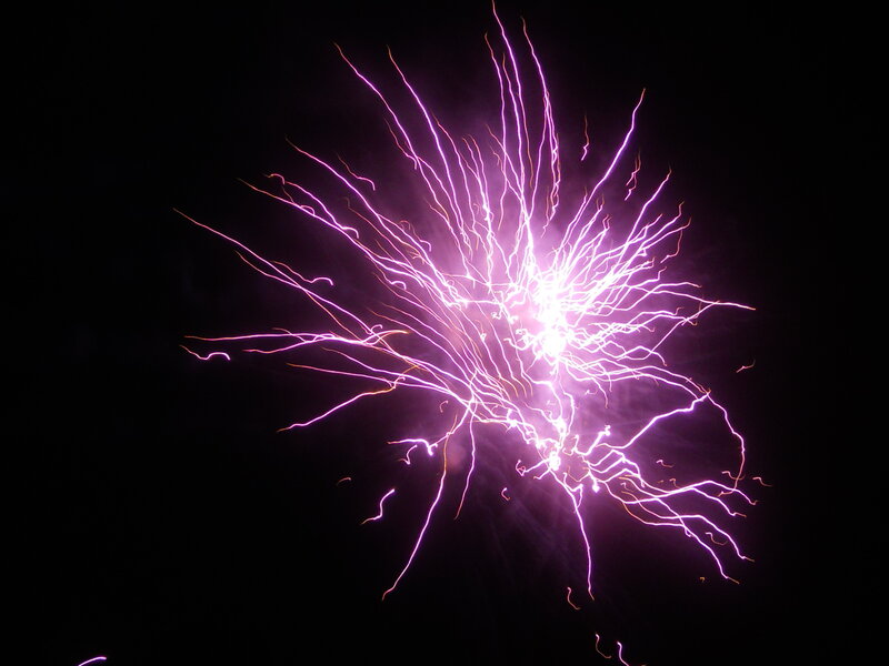 Purple Firework Burst