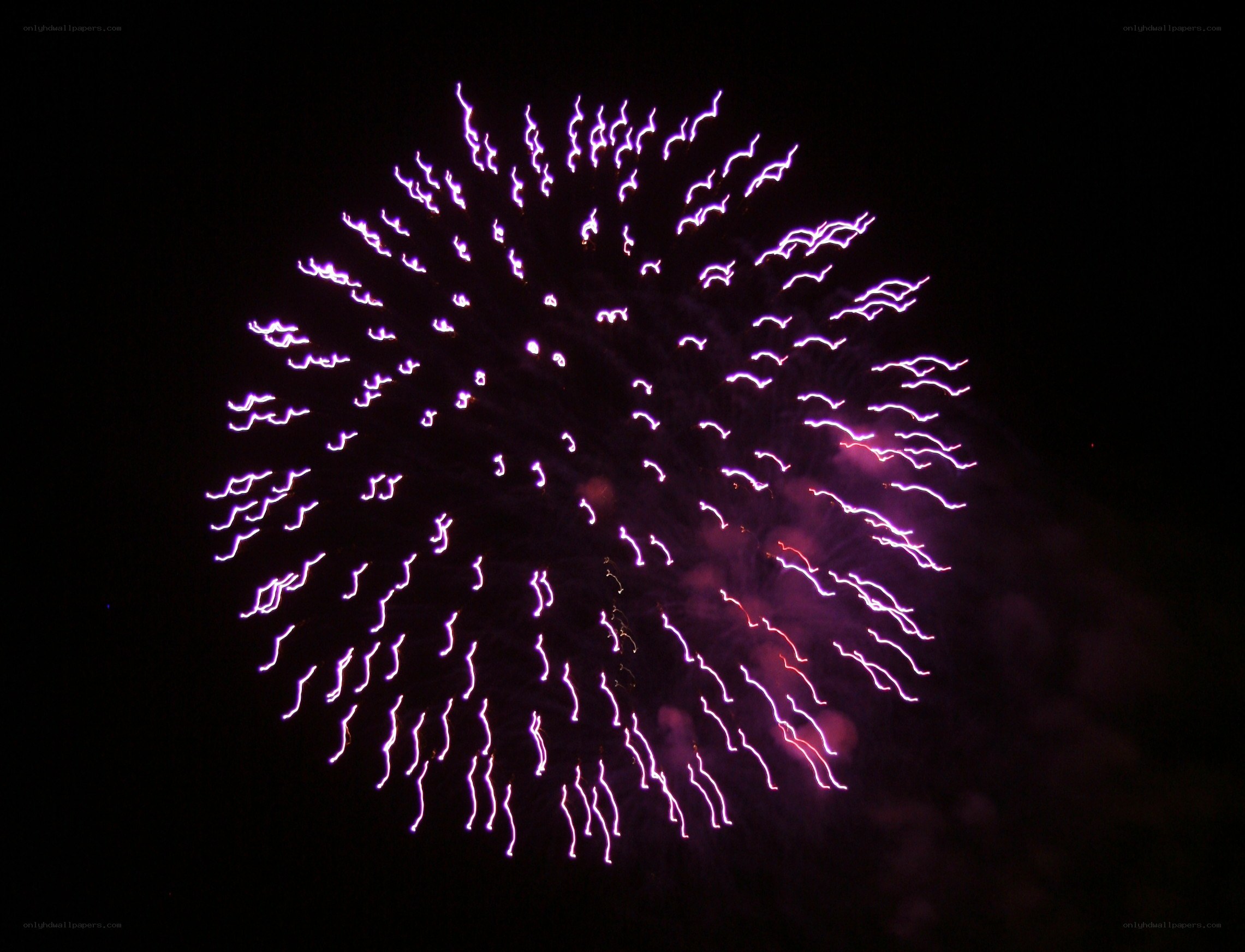 Purple fireworks display