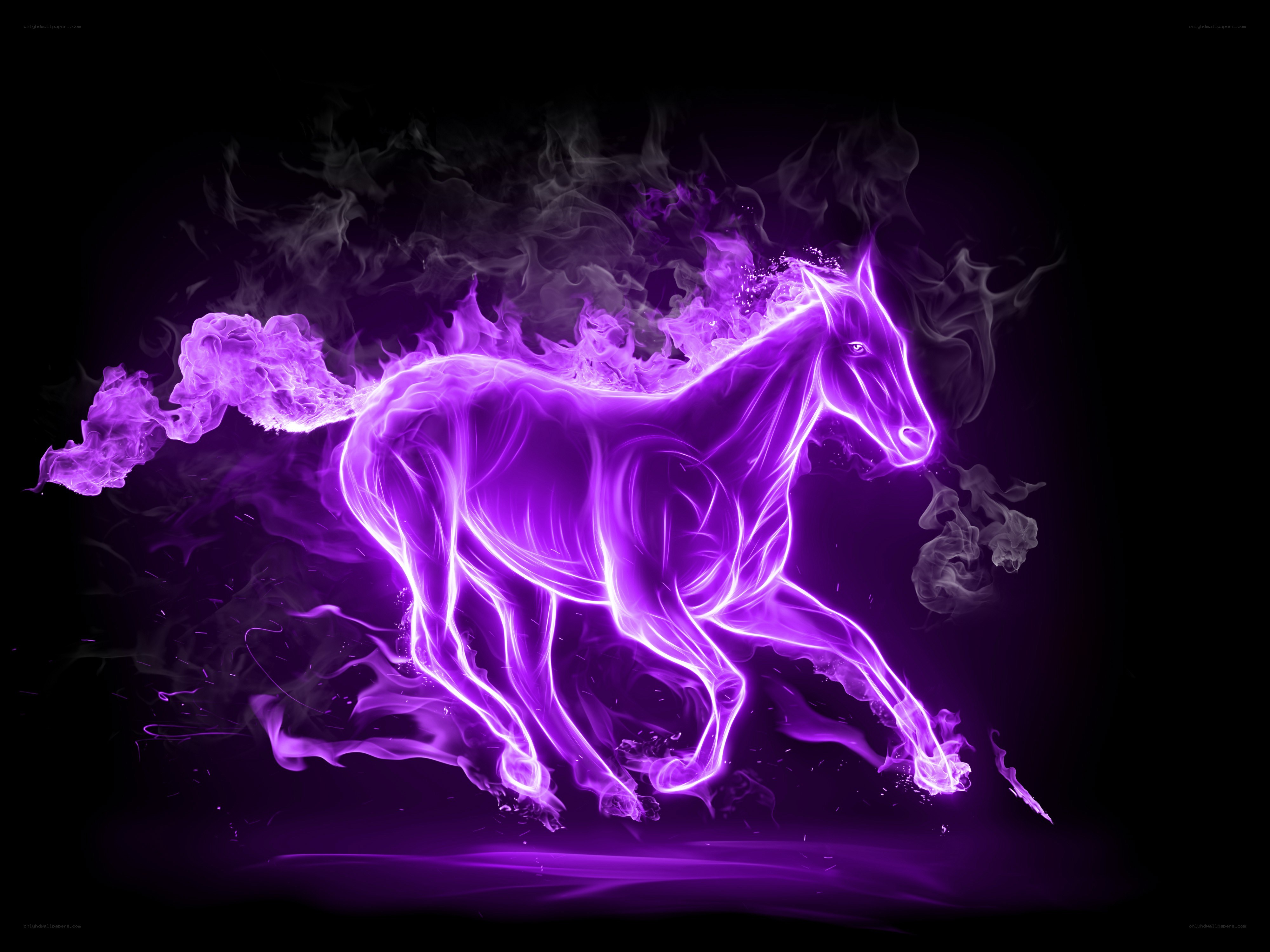 purple flame horse