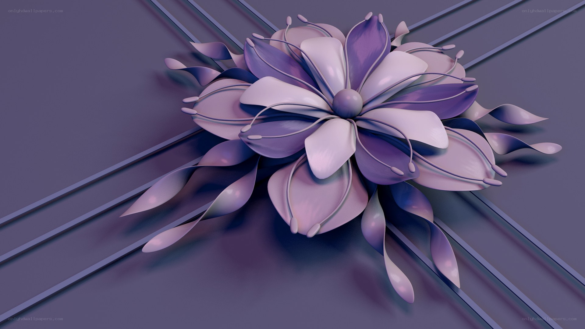 Purple floral design on gray background