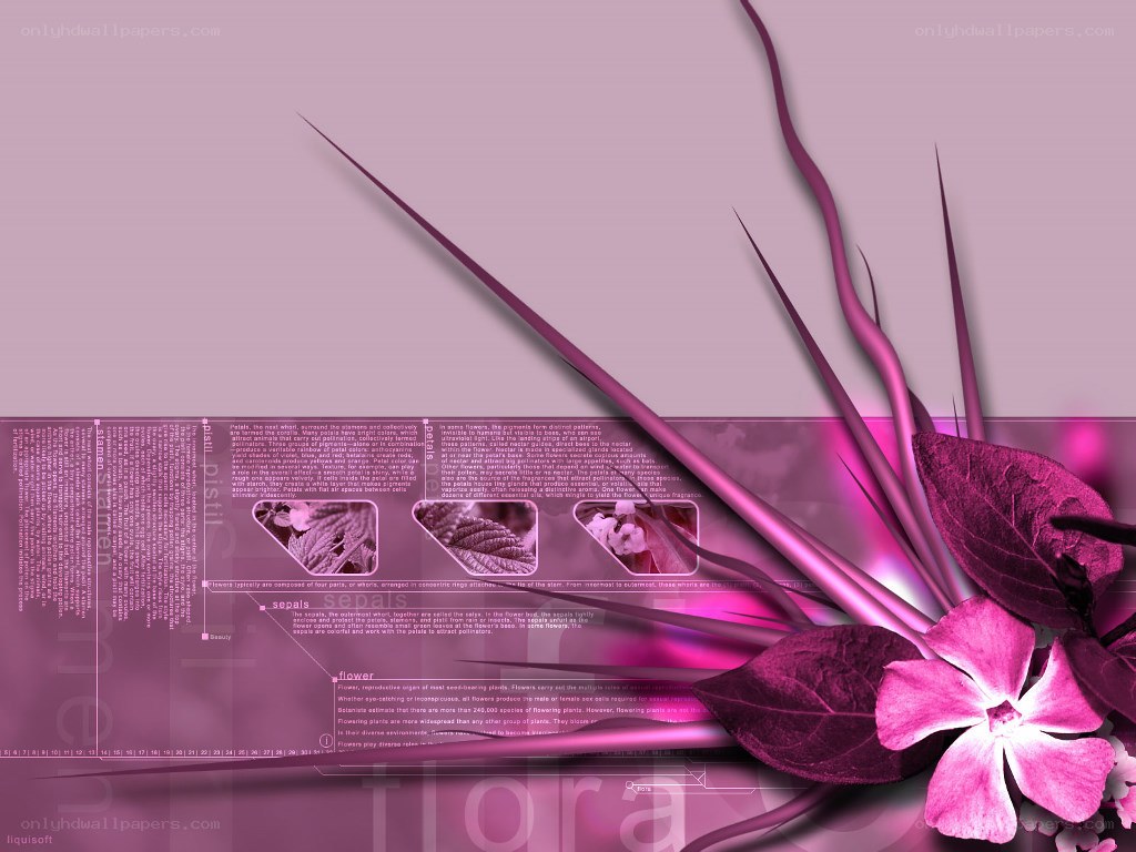Purple floral design with text