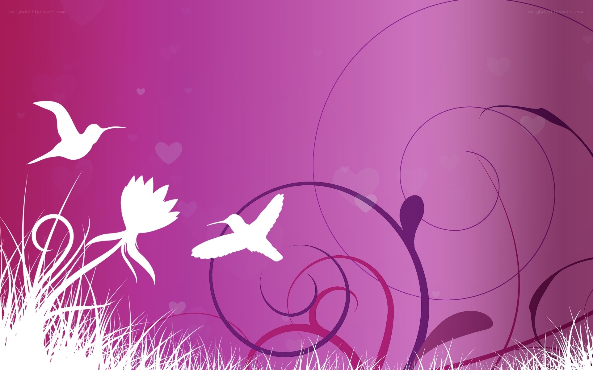 purple floral hummingbird design