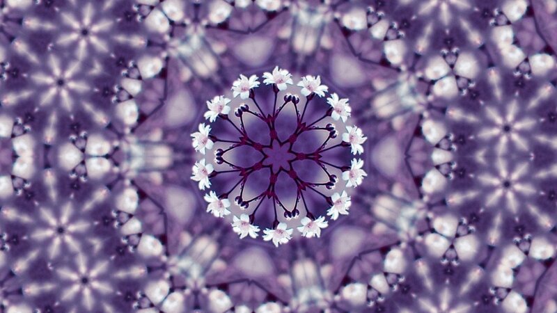 Purple floral kaleidoscope pattern