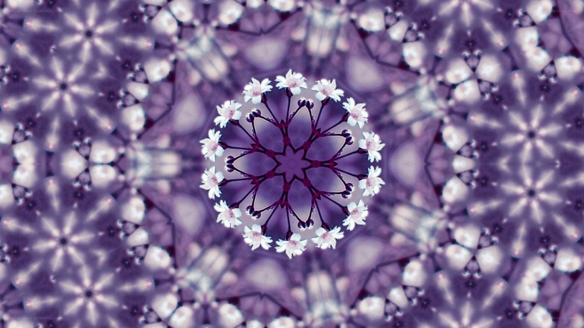 Purple floral kaleidoscope pattern