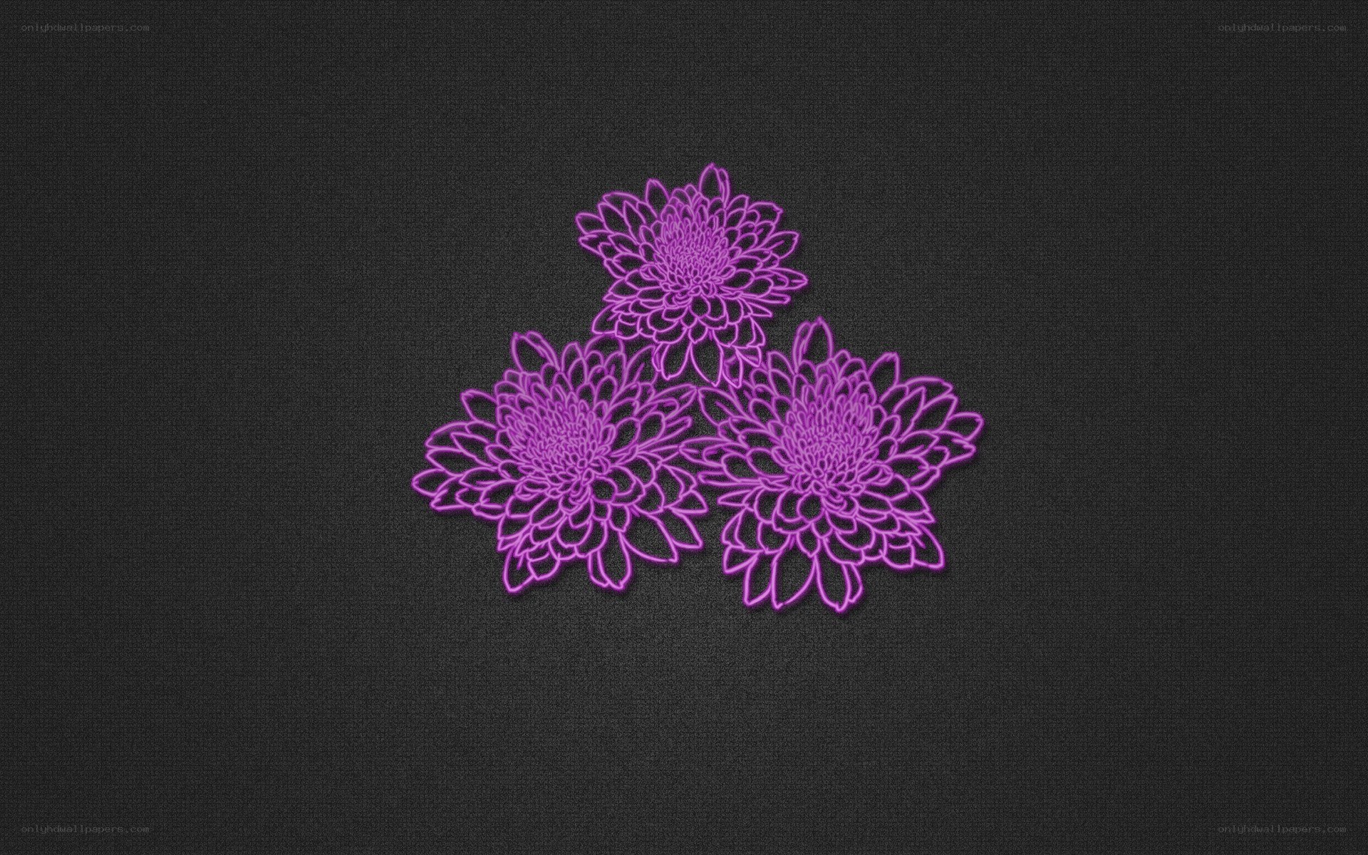 purple floral outline design