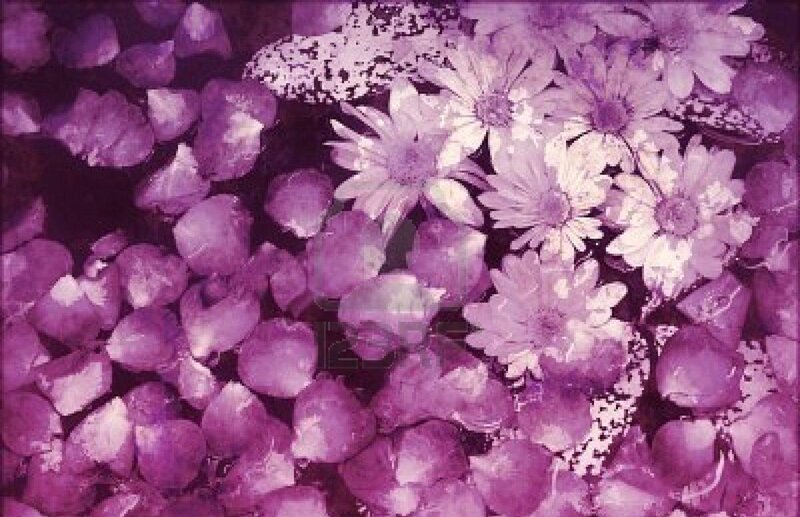purple floral pattern