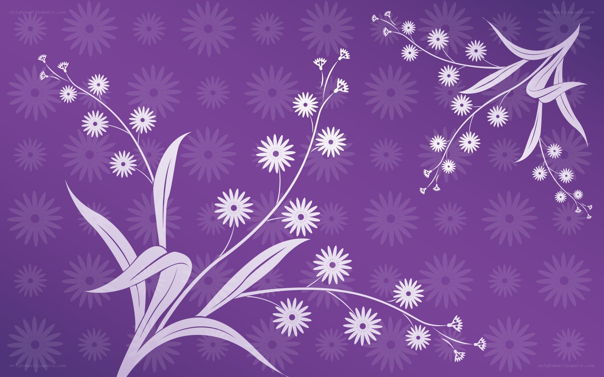 purple floral pattern design