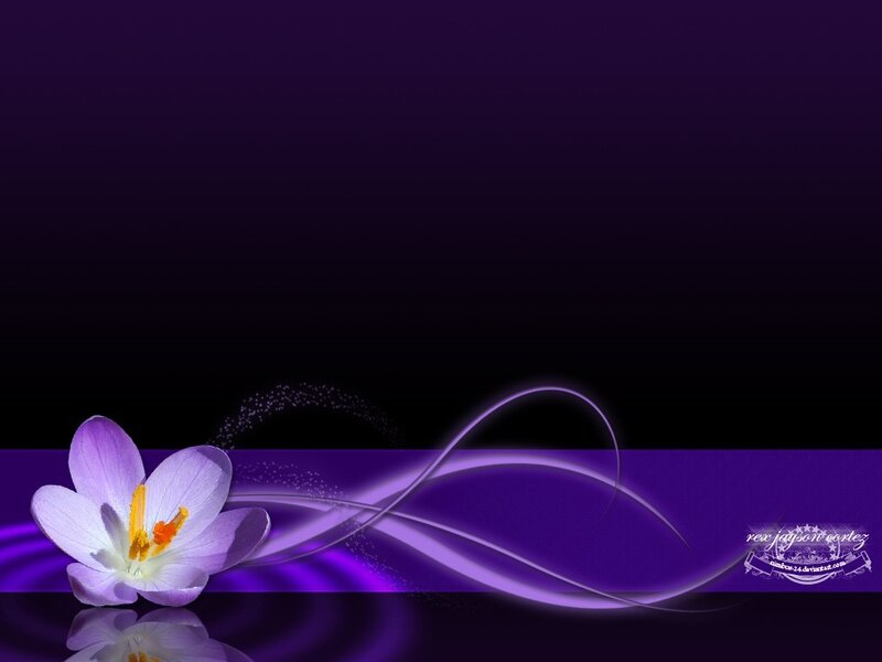 purple flower abstract background
