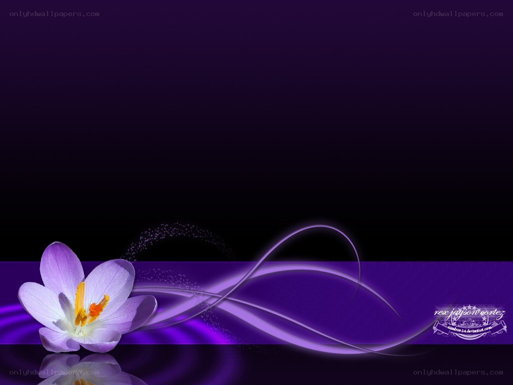 purple flower abstract background