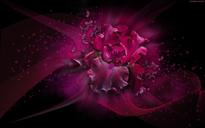 purple flower abstract design