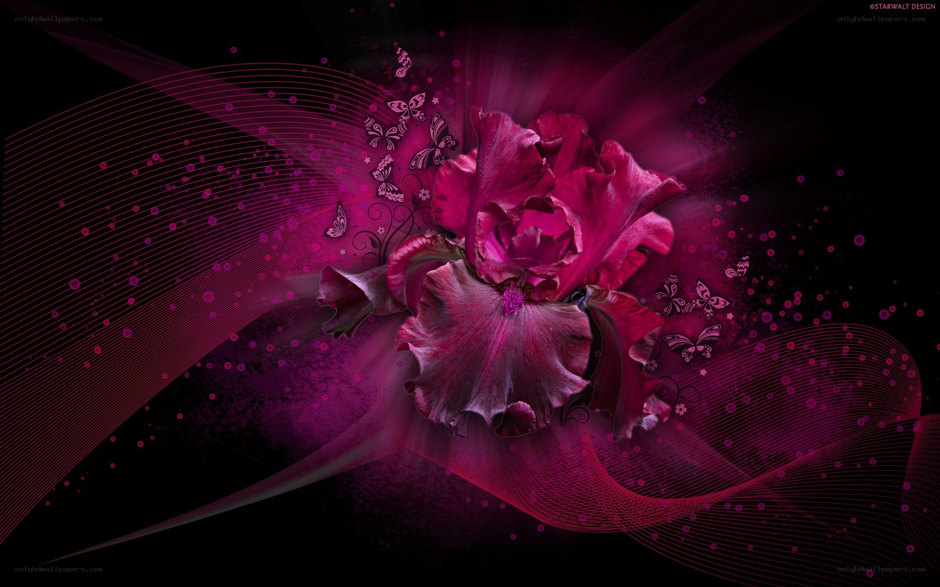 purple flower abstract design