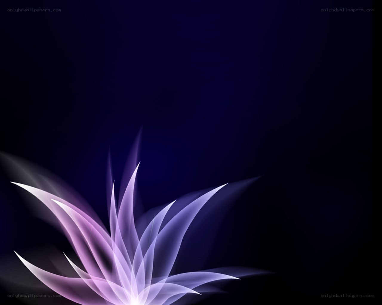 purple flower abstract design