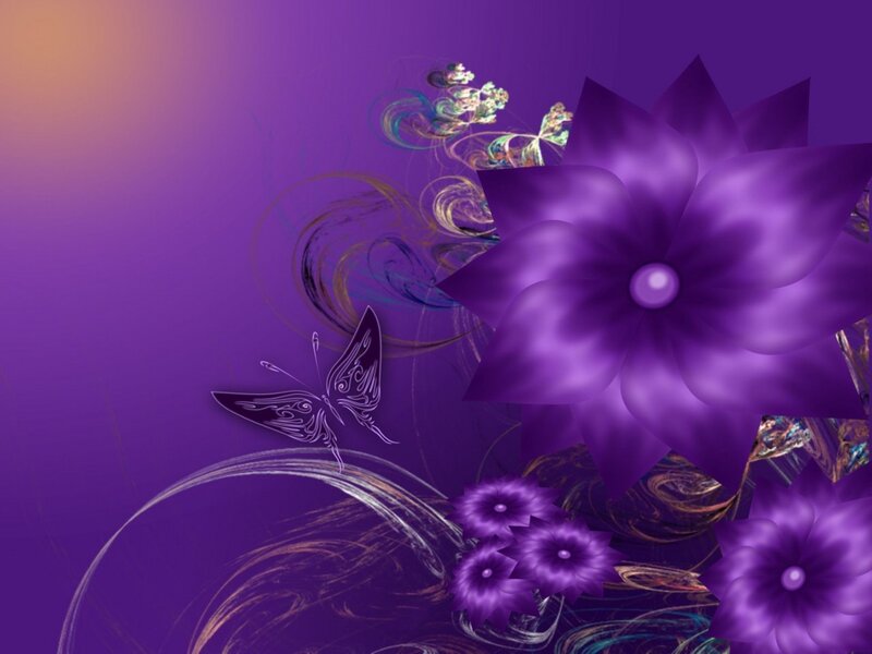 Purple Flower and Butterfly — Dreamy