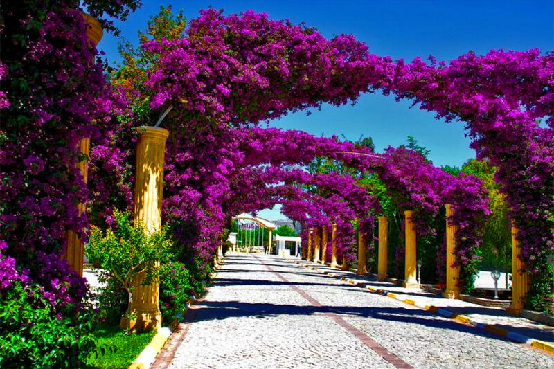 Purple Flower Archway