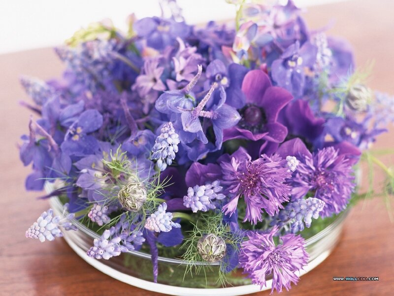 Purple Flower Bouquet — Calm
