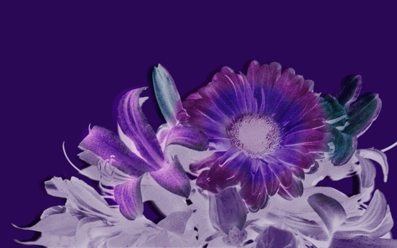 Purple Flower Bouquet — Dreamy