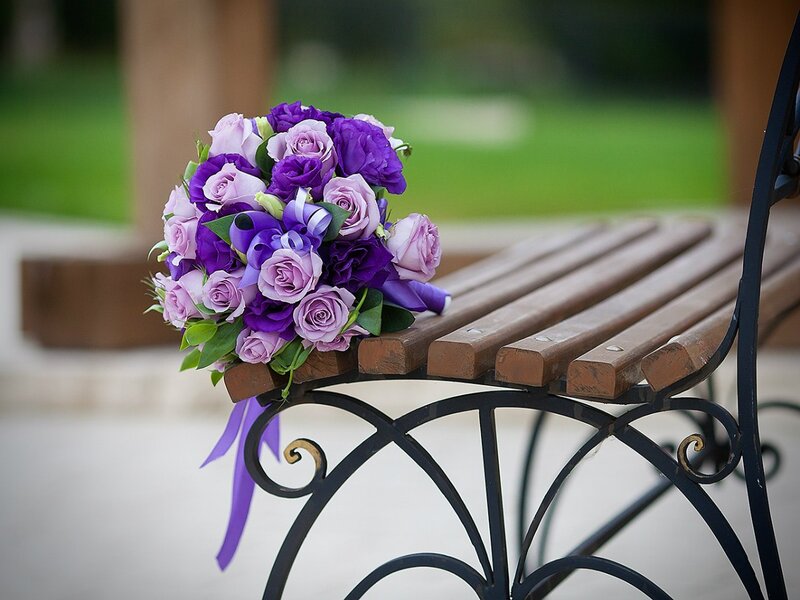 Purple Flower Bouquet — Serene, Afternoon, Photograph, Bench