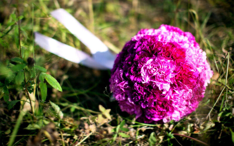 Purple Flower Bouquet — Serene, Afternoon