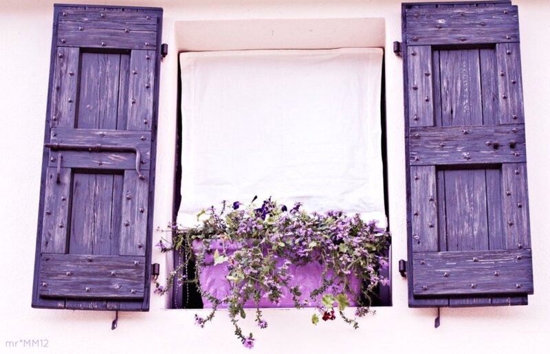 Purple Flower Box