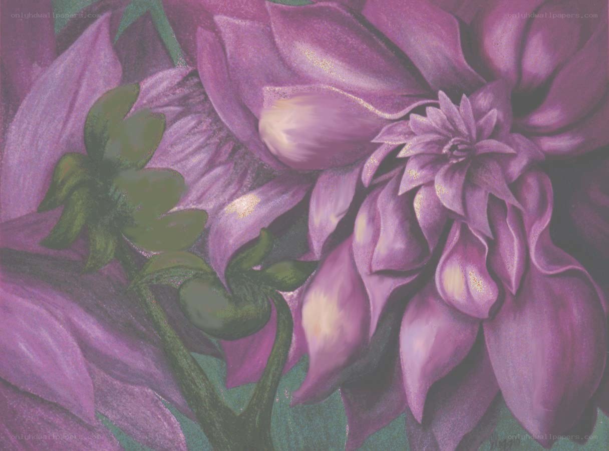 Purple flower close-up