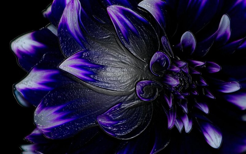 Purple Flower Close-up — Dramatic, Digital Art