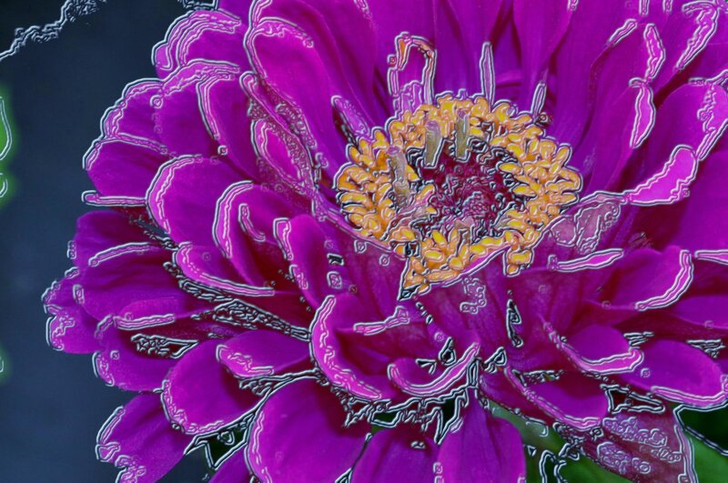 Purple Flower Close-up — Vibrant, Digital Art