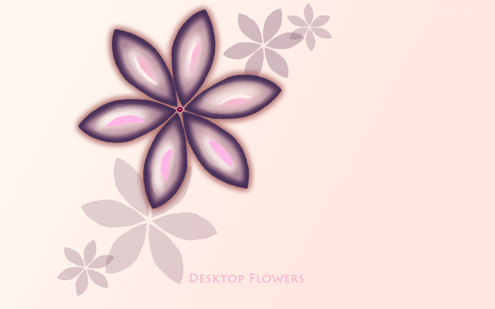 purple flower desktop wallpaper