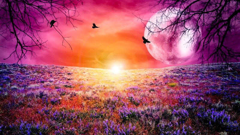 Purple Flower Field — Dramatic, Sunset, Digital Art, Moon