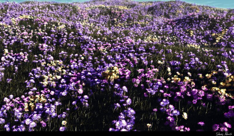 Purple Flower Field — Serene, Afternoon, Digital Art