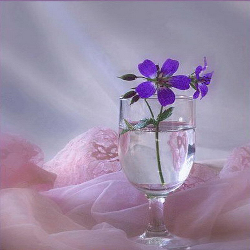 Purple flower in a glass