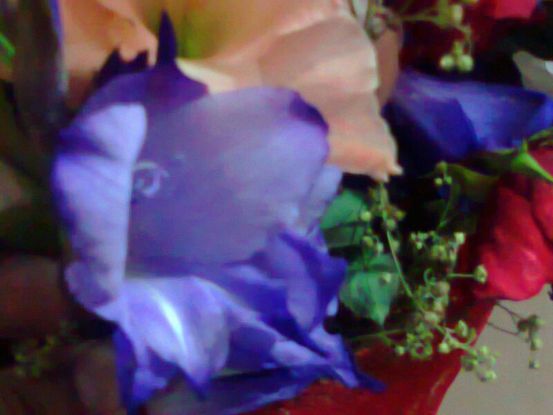 Purple Flower in Bouquet — Calm