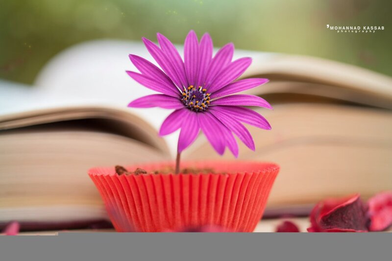 Purple Flower in Cupcake Liner