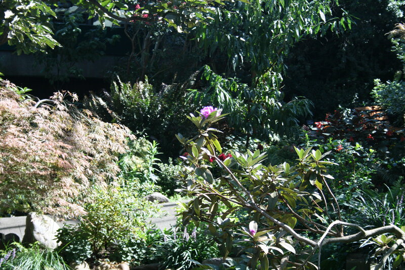 Purple Flower in Garden — Green, Serene