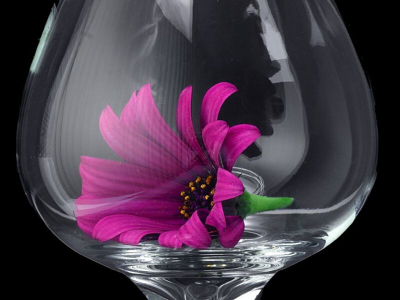 Purple flower in glass bowl