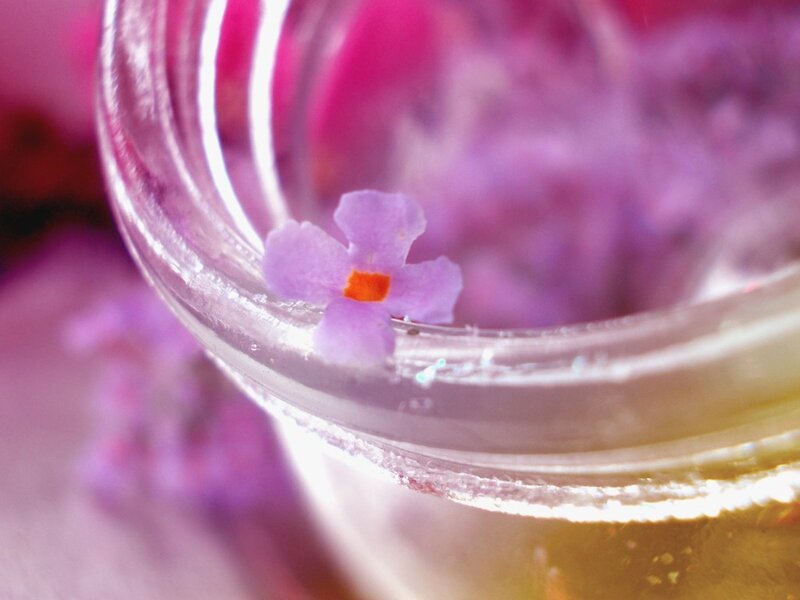 Purple Flower in Glass — Calm