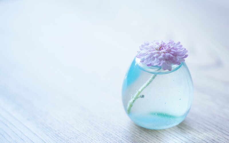Purple flower in glass vase