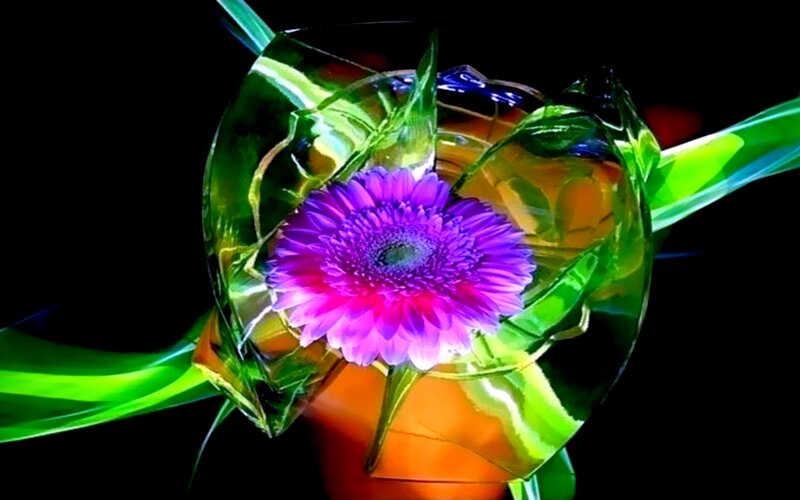 Purple Flower in Glass — Vibrant