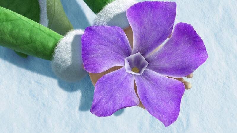 Purple Flower in Hand — Calm