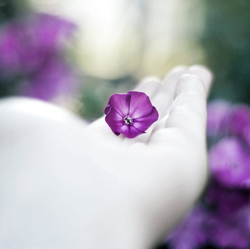 Purple Flower in Hand