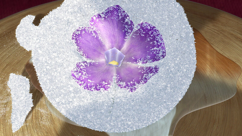 Purple Flower in Ice