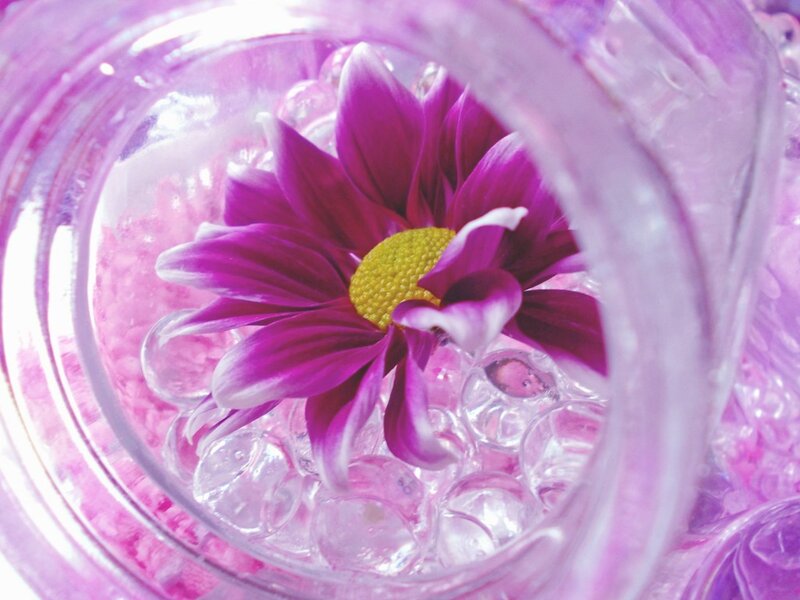 Purple Flower in Jar
