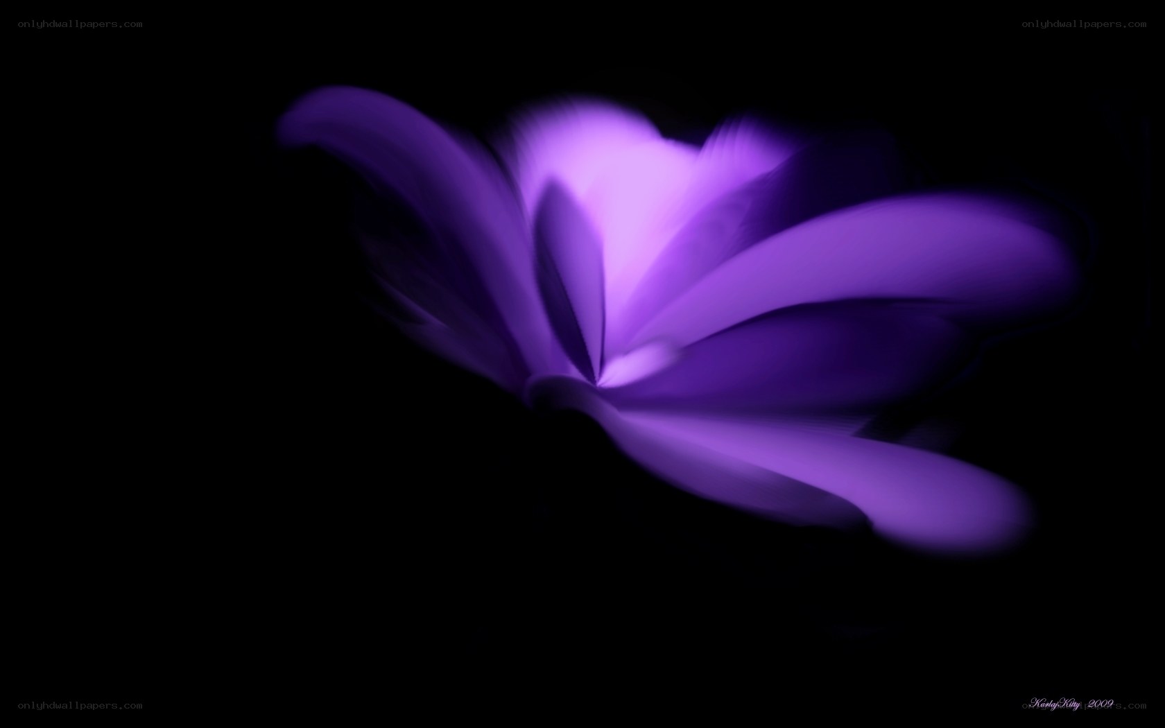 purple flower in motion
