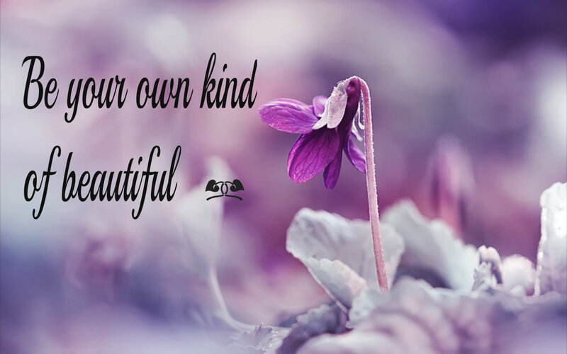 Purple Flower in Soil
