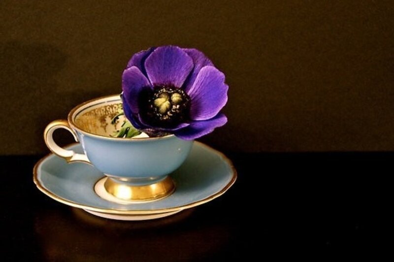 Purple Flower in Teacup