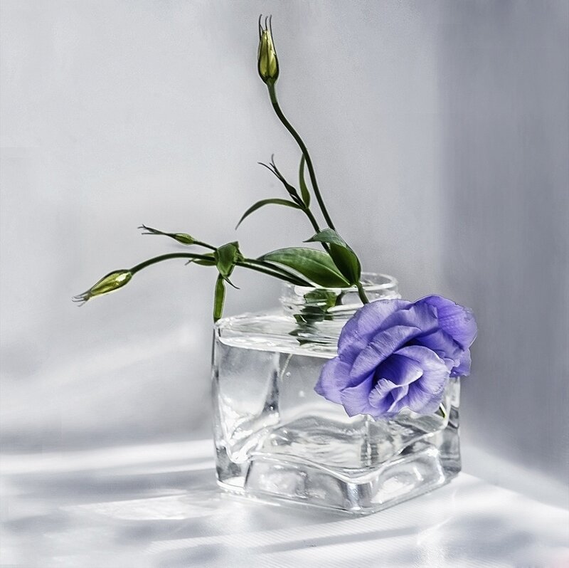 Purple Flower in Vase — Serene, Photograph
