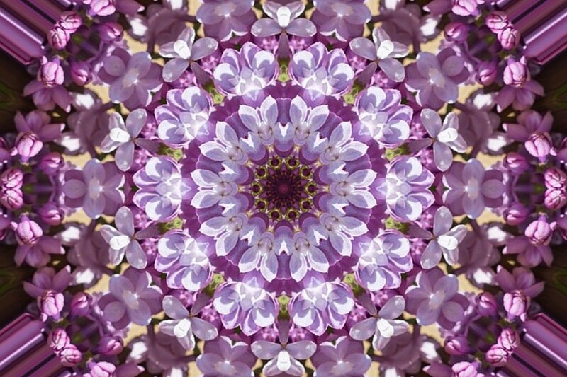 Purple Flower Mandala — Calm, Abstract