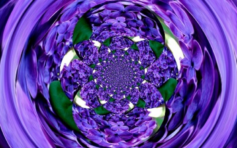 Purple Flower Mandala — Hypnotic, Digital Art